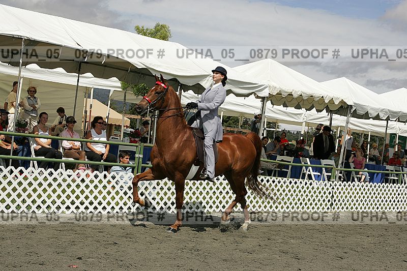 Proof Number upha_05__0879