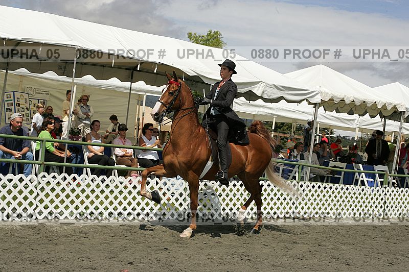 Proof Number upha_05__0880