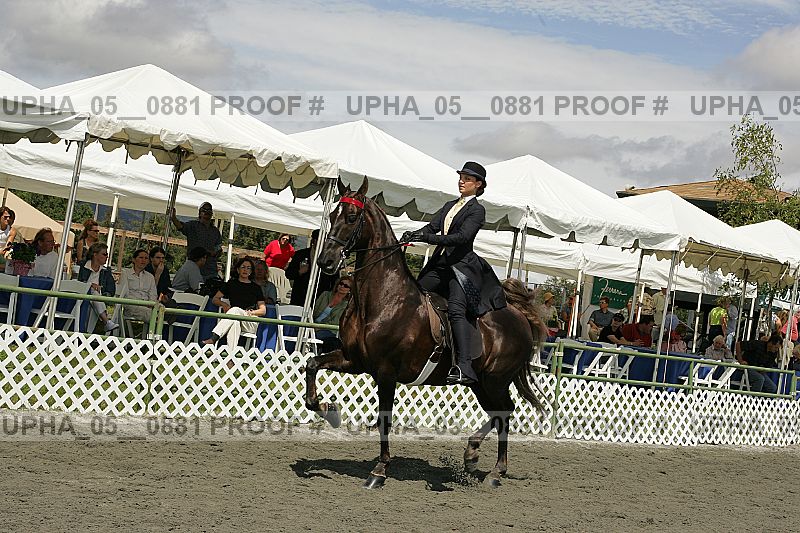 Proof Number upha_05__0881