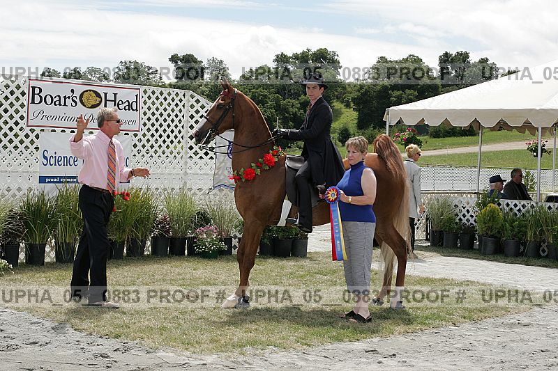 Proof Number upha_05__0883