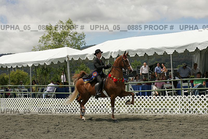 Proof Number upha_05__0885