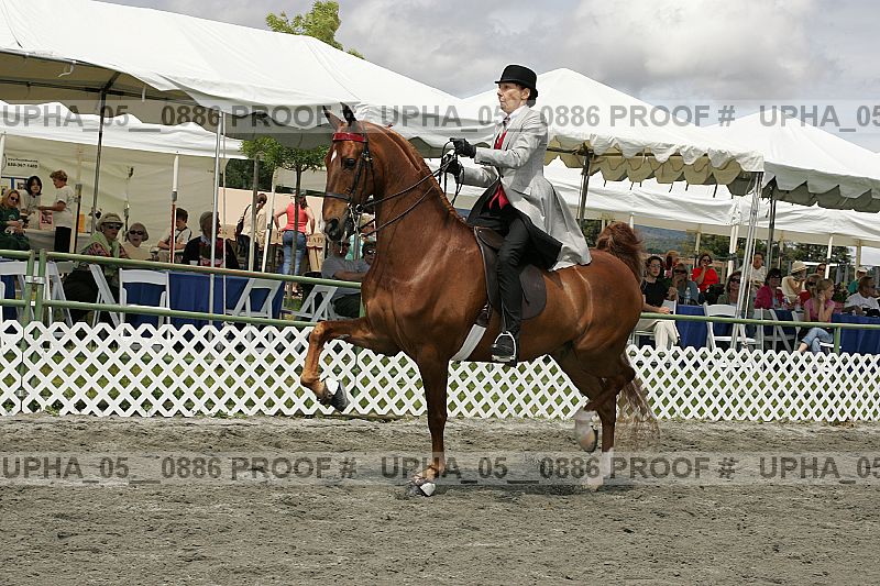Proof Number upha_05__0886