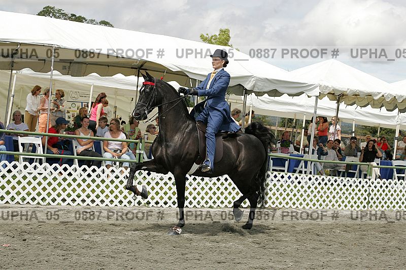 Proof Number upha_05__0887