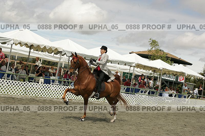 Proof Number upha_05__0888