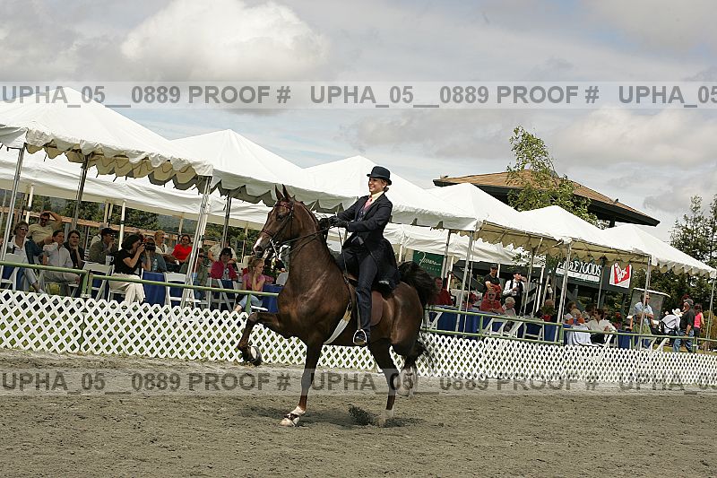 Proof Number upha_05__0889