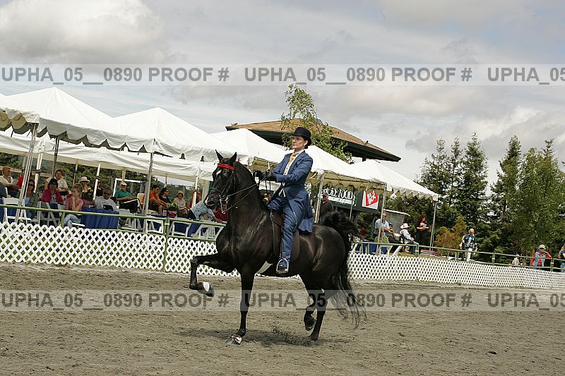 Proof Number upha_05__0890