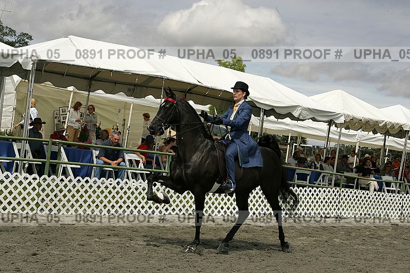 Proof Number upha_05__0891