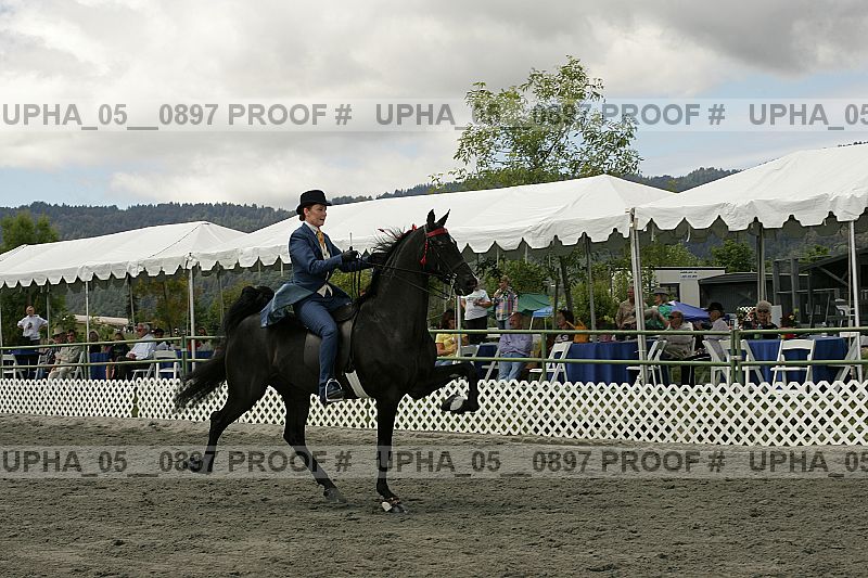 Proof Number upha_05__0897