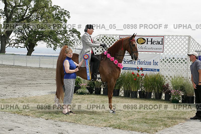 Proof Number upha_05__0898