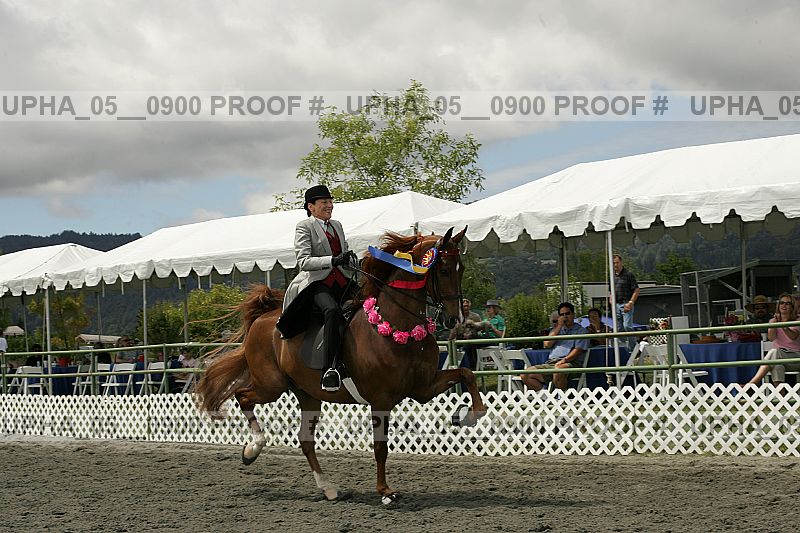 Proof Number upha_05__0900