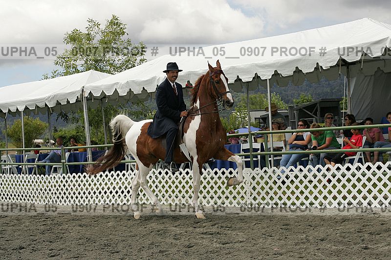 Proof Number upha_05__0907