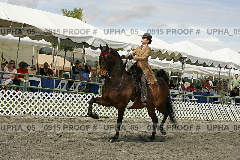 Proof Number upha_05__0915