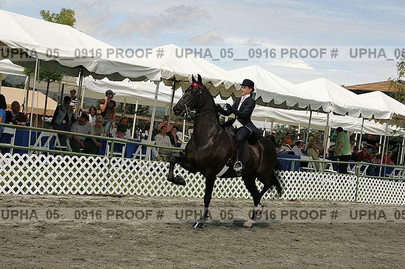 Proof Number upha_05__0916
