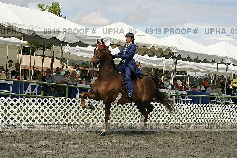 Proof Number upha_05__0919