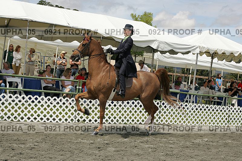 Proof Number upha_05__0921