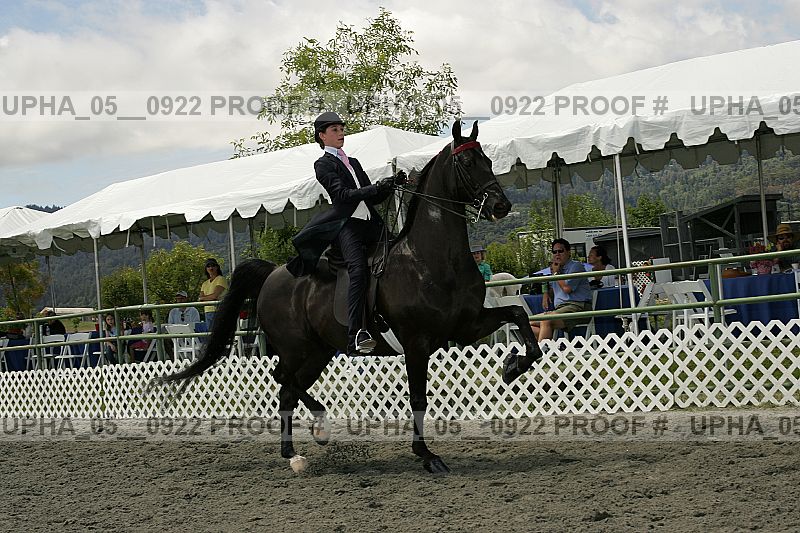 Proof Number upha_05__0922