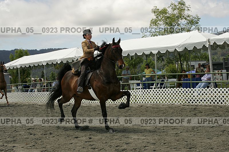 Proof Number upha_05__0923