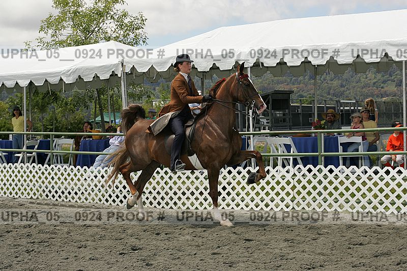 Proof Number upha_05__0924