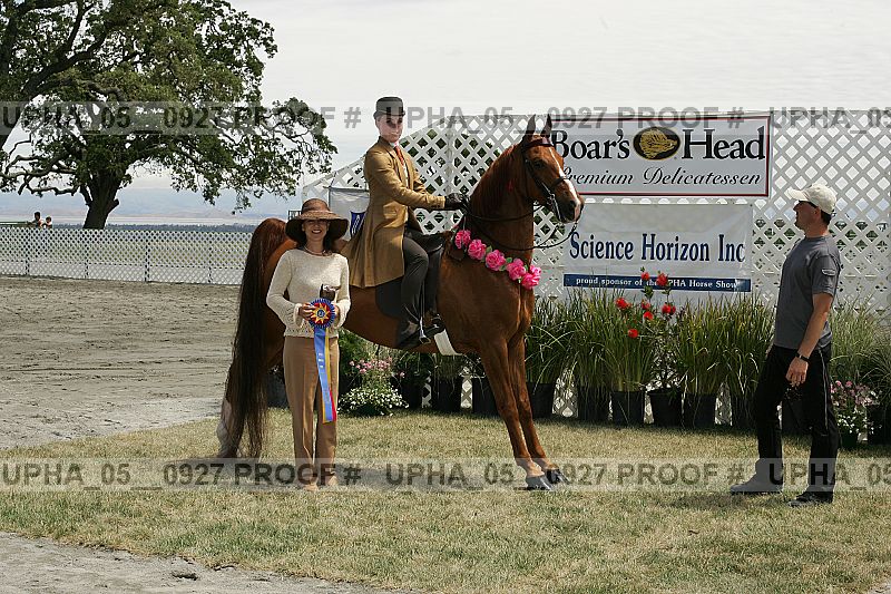Proof Number upha_05__0927