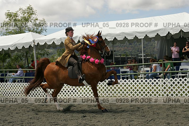Proof Number upha_05__0928