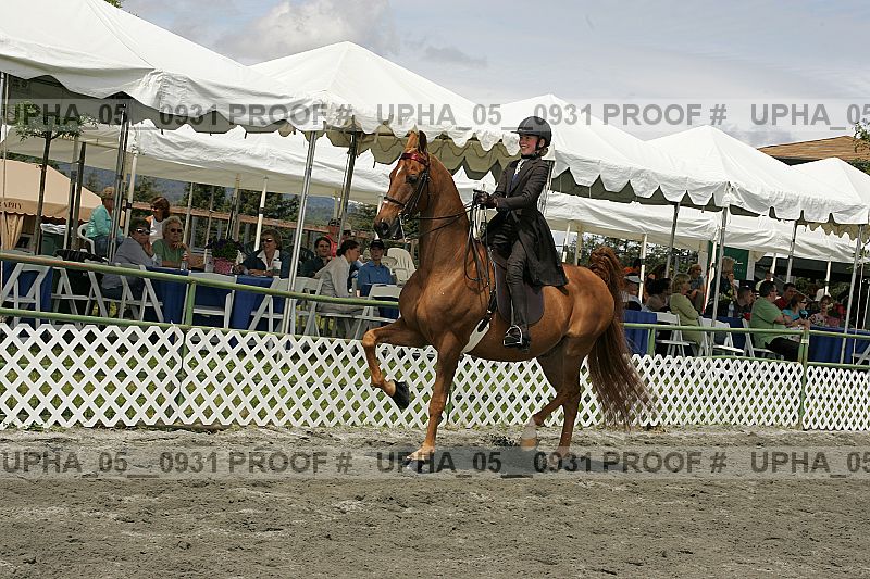 Proof Number upha_05__0931