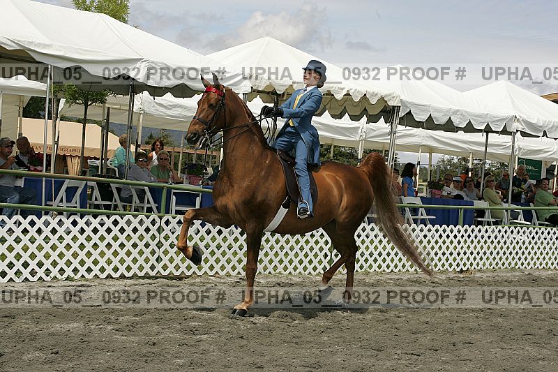 Proof Number upha_05__0932