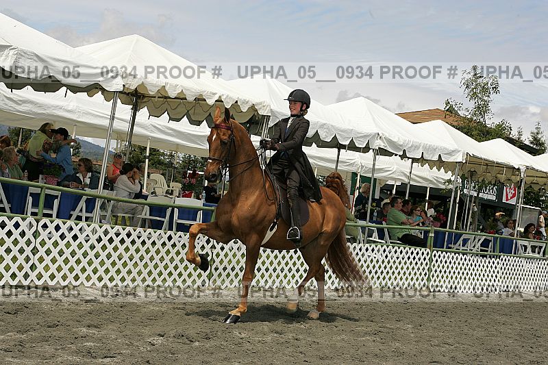 Proof Number upha_05__0934