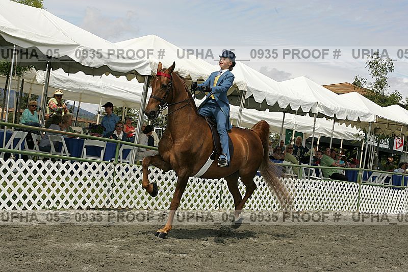 Proof Number upha_05__0935