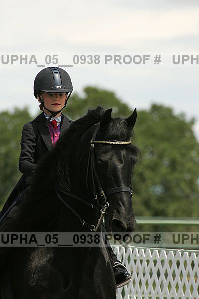 Proof Number upha_05__0938