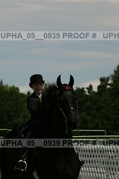 Proof Number upha_05__0939