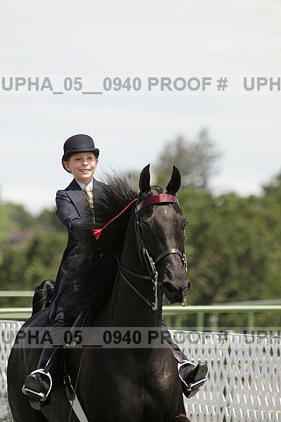Proof Number upha_05__0940