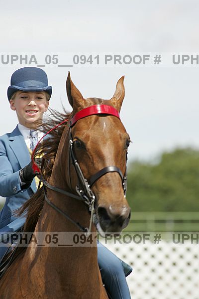 Proof Number upha_05__0941