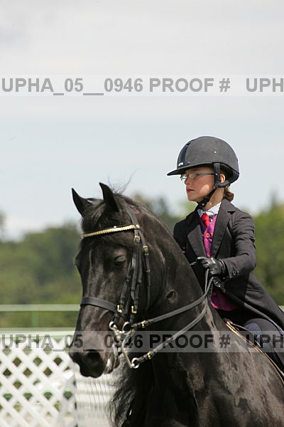 Proof Number upha_05__0946