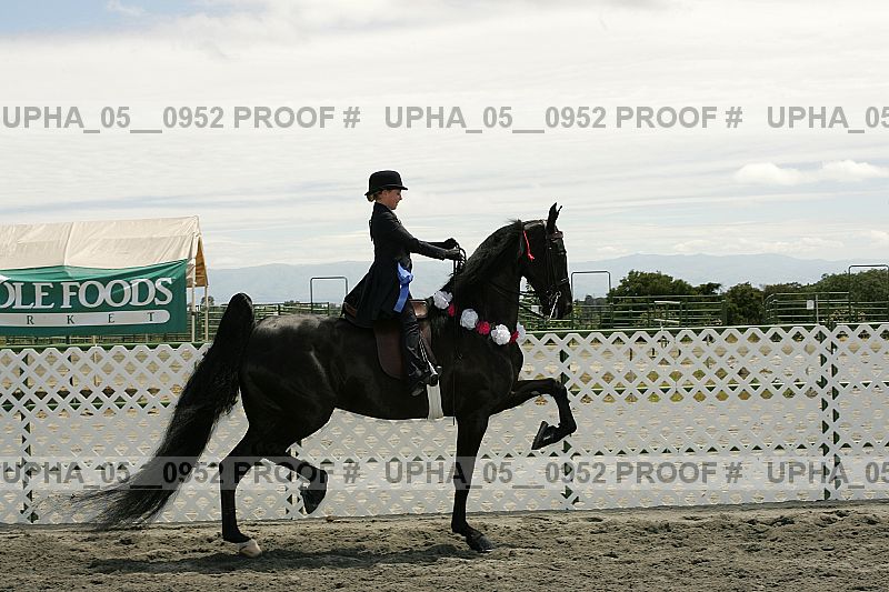 Proof Number upha_05__0952