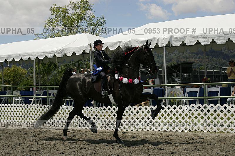 Proof Number upha_05__0953
