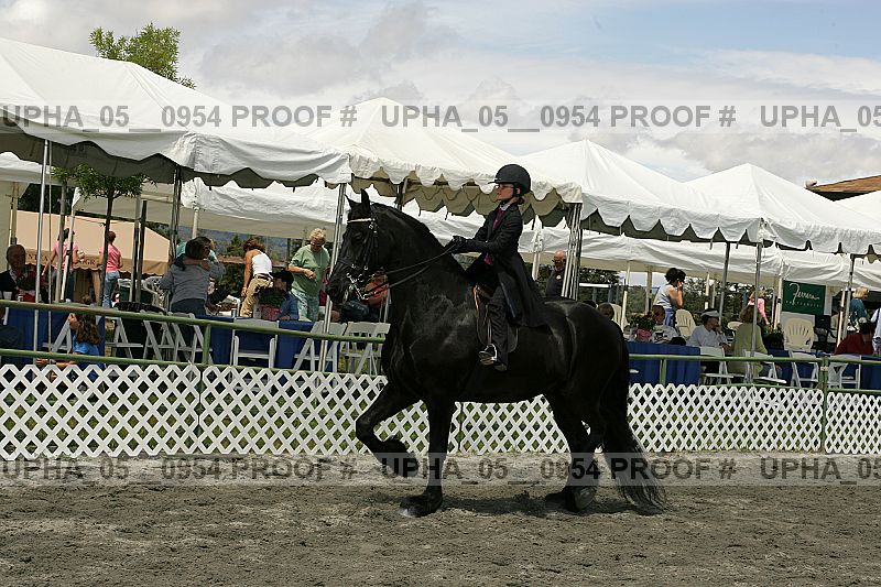 Proof Number upha_05__0954