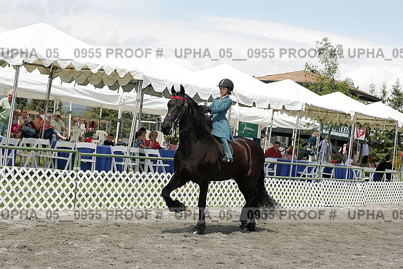 Proof Number upha_05__0955