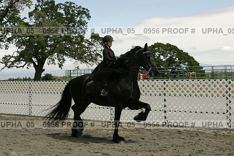 Proof Number upha_05__0956
