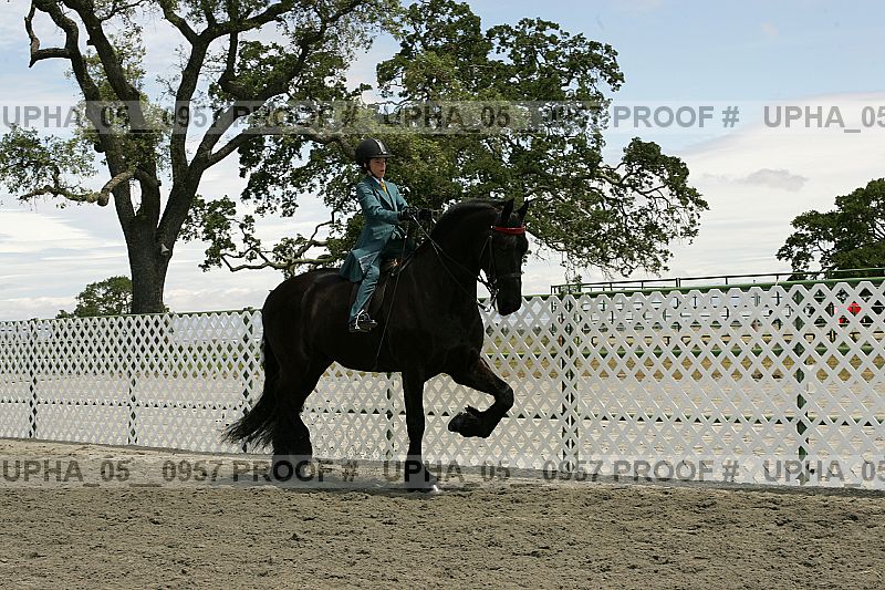 Proof Number upha_05__0957