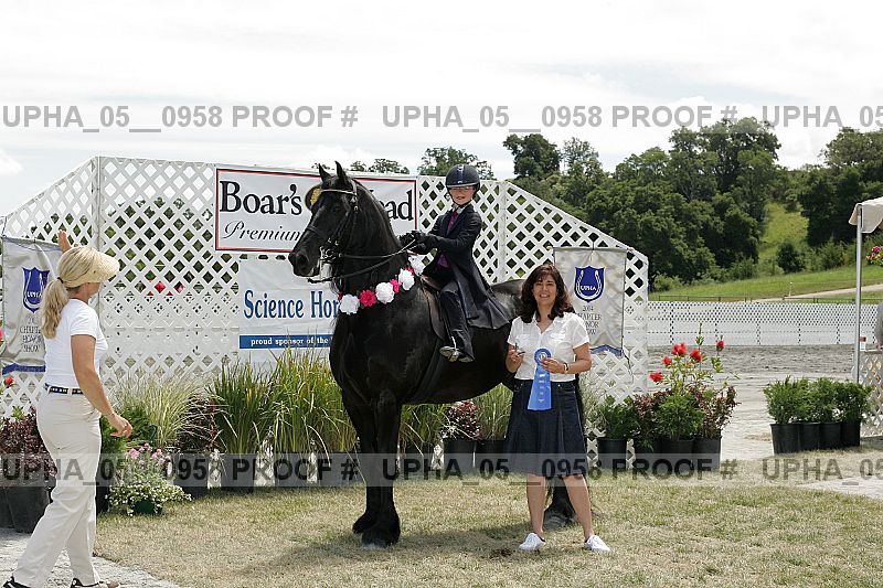 Proof Number upha_05__0958