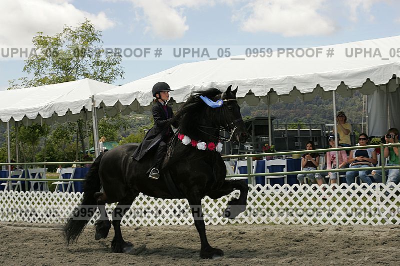 Proof Number upha_05__0959