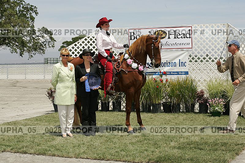 Proof Number upha_05__0028