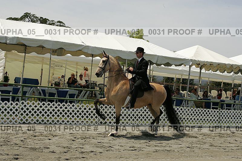 Proof Number upha_05__0031