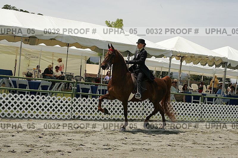 Proof Number upha_05__0032