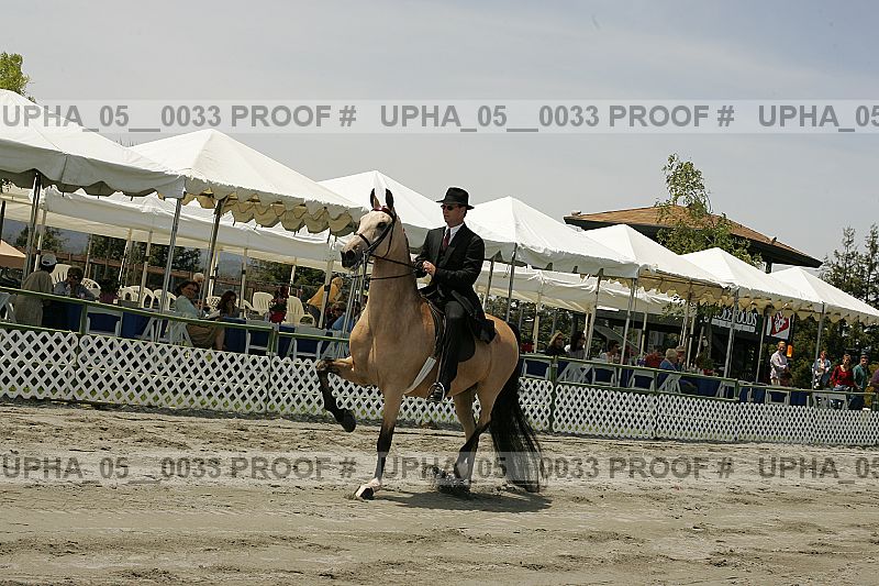Proof Number upha_05__0033
