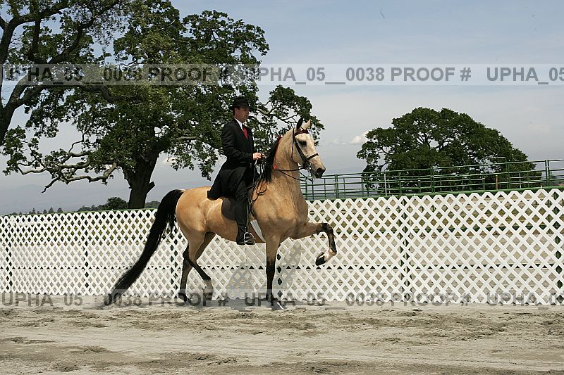 Proof Number upha_05__0038
