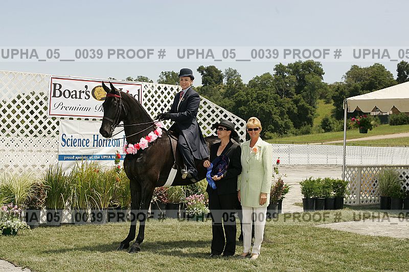 Proof Number upha_05__0039