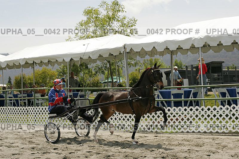 Proof Number upha_05__0042