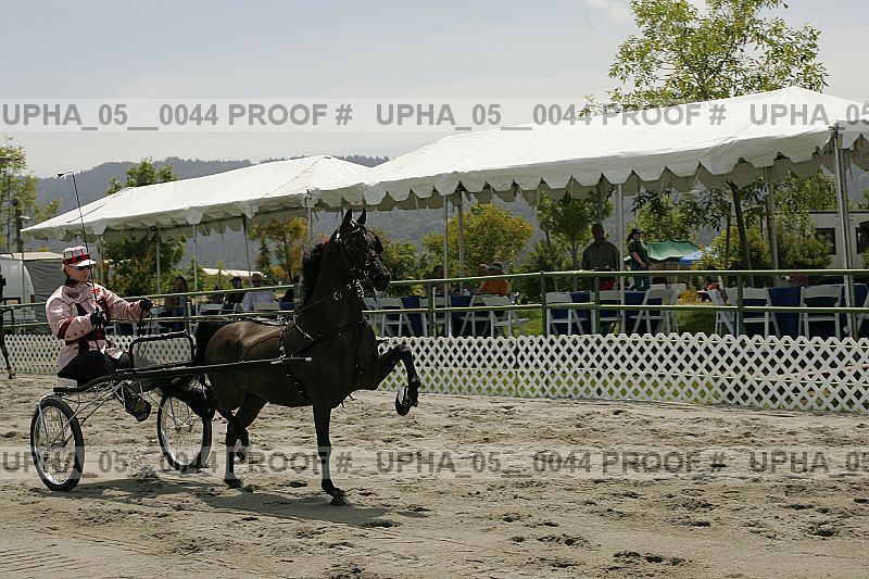 Proof Number upha_05__0044