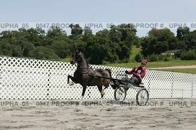 Proof Number upha_05__0047